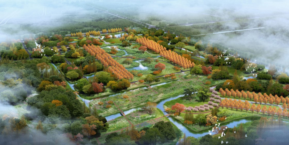 我司中标奉贤新城中央生态林地绿化EPC工程 D:\市场部相关文件\新闻\信息汇编\10月份信息汇编\001.jpg