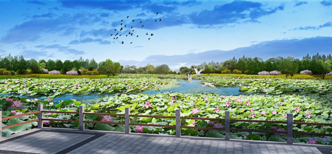 我司中标奉贤新城中央生态林地绿化EPC工程 D:\市场部相关文件\新闻\信息汇编\10月份信息汇编\002.jpg