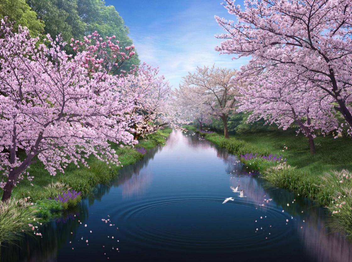 我司中标奉贤新城中央生态林地绿化EPC工程 D:\市场部相关文件\新闻\信息汇编\10月份信息汇编\004.jpg