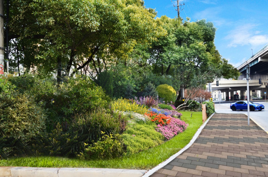 浦江镇鲁汇基地周边绿化景观工程一期二期项目 (2).png