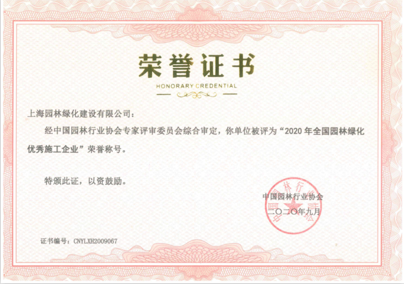 图片19.png