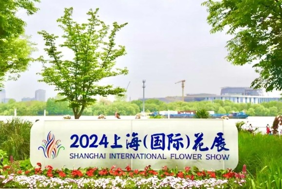 2024上海(国际)花展丨在徐汇滨江营造“繁花似锦”的春日美好