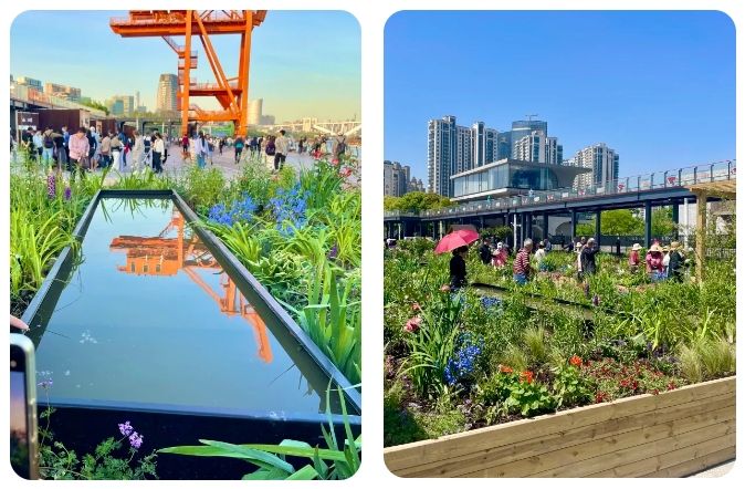 2024上海(国际)花展丨在徐汇滨江营造“繁花似锦”的春日美好